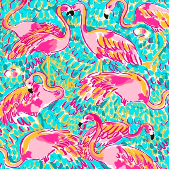 Meet your Posher, Minnie - Picture 1 of 1